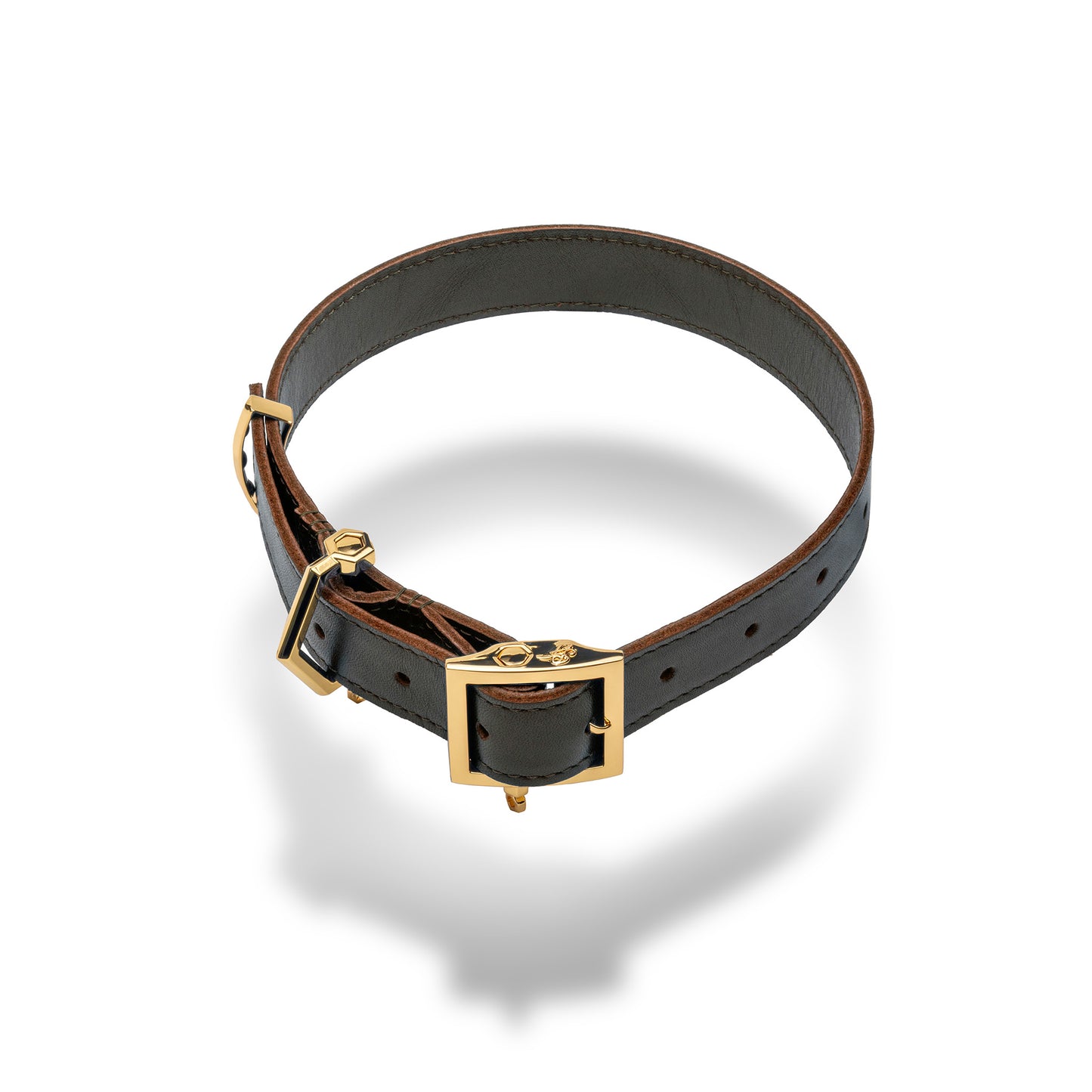 Leash & Collar Set