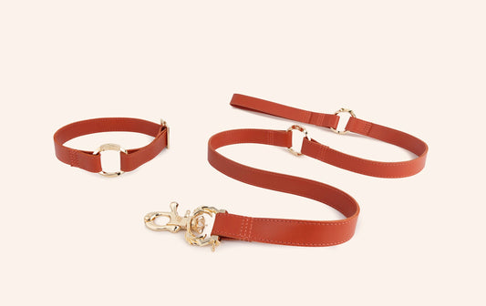 Leash & Collar Set